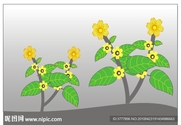 绿叶 红花 向日葵