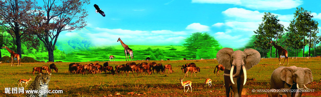 自然风景 美丽的大自然