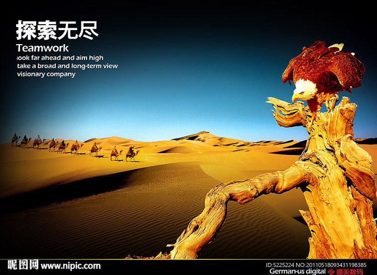 沙漠驼队企业文化