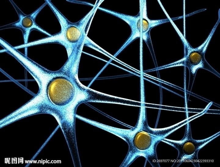 神经元透视模型