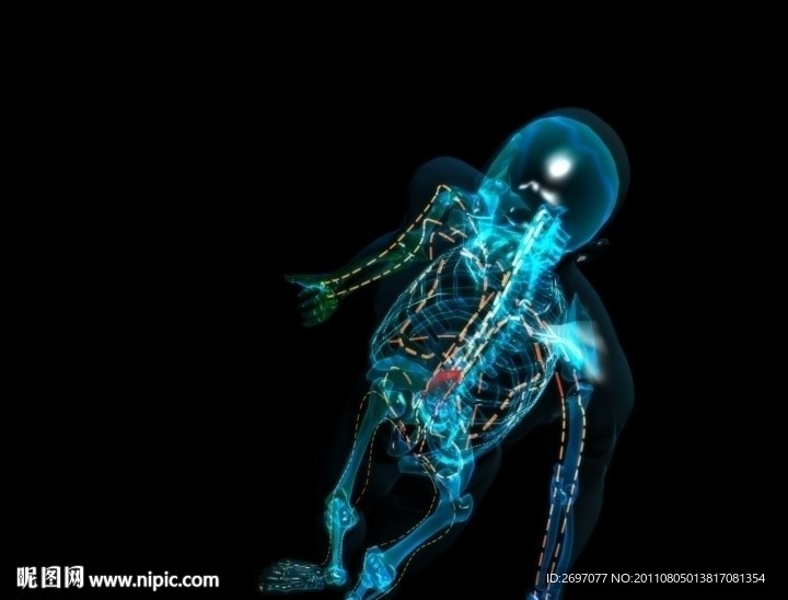 全身的筋络循环动画