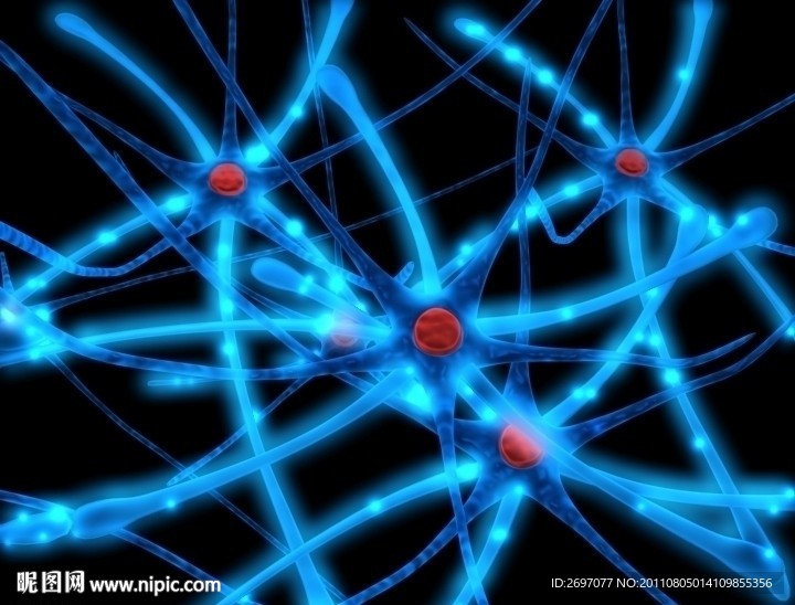 蓝色的神经元