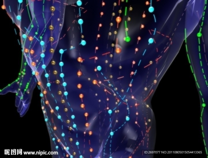 腰部经络循环动画