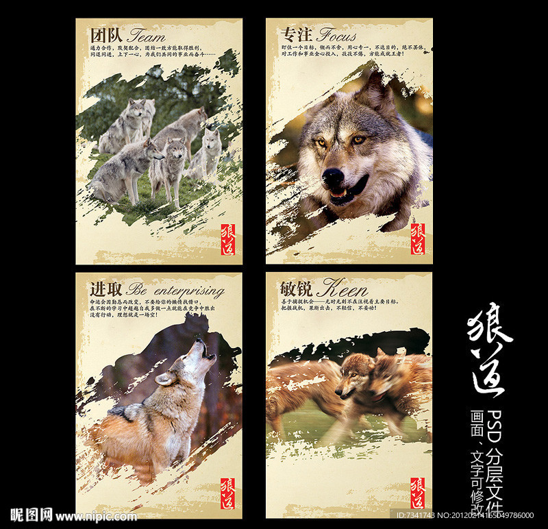 企业文化狼道设计模板