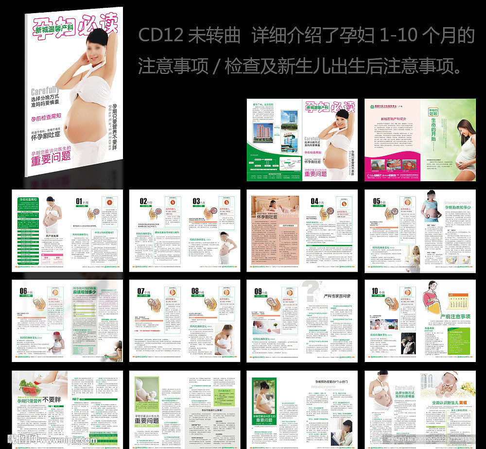 孕妇必读 准妈妈手册