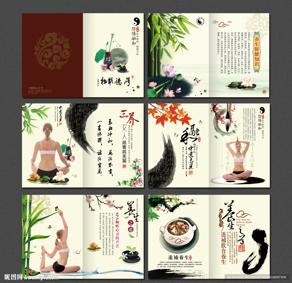 中医养生美容画册设计