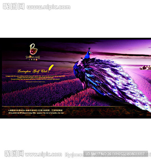 地产广告形象画