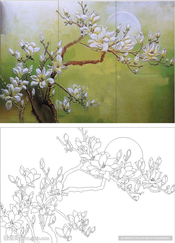 玉兰花 玉兰月亮