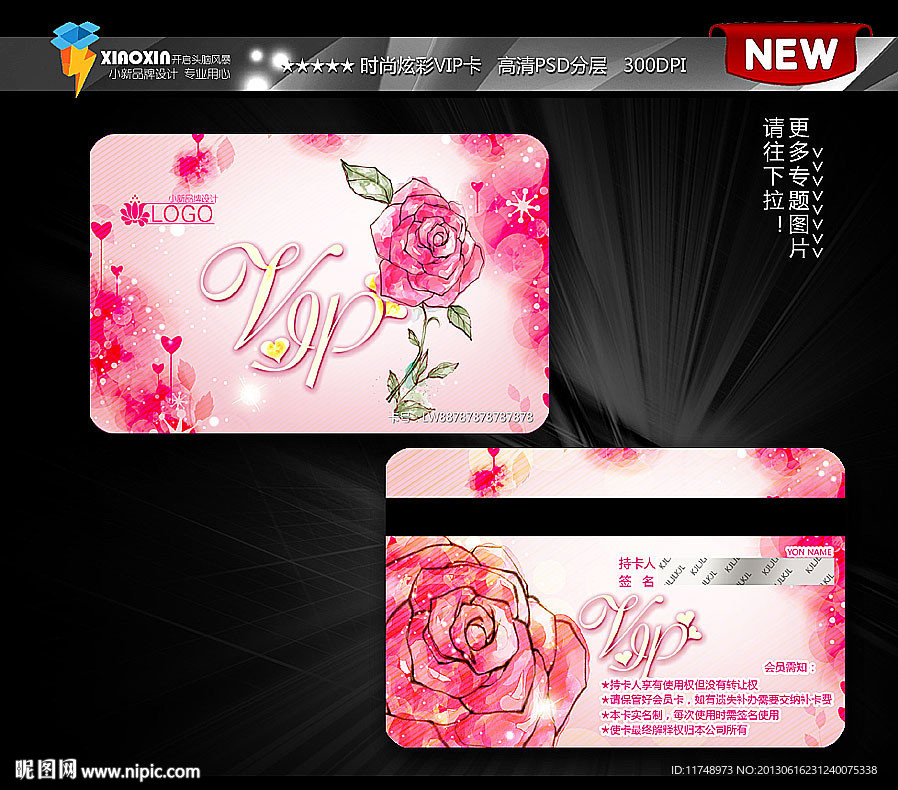 粉色 玫瑰浪漫 贵宾