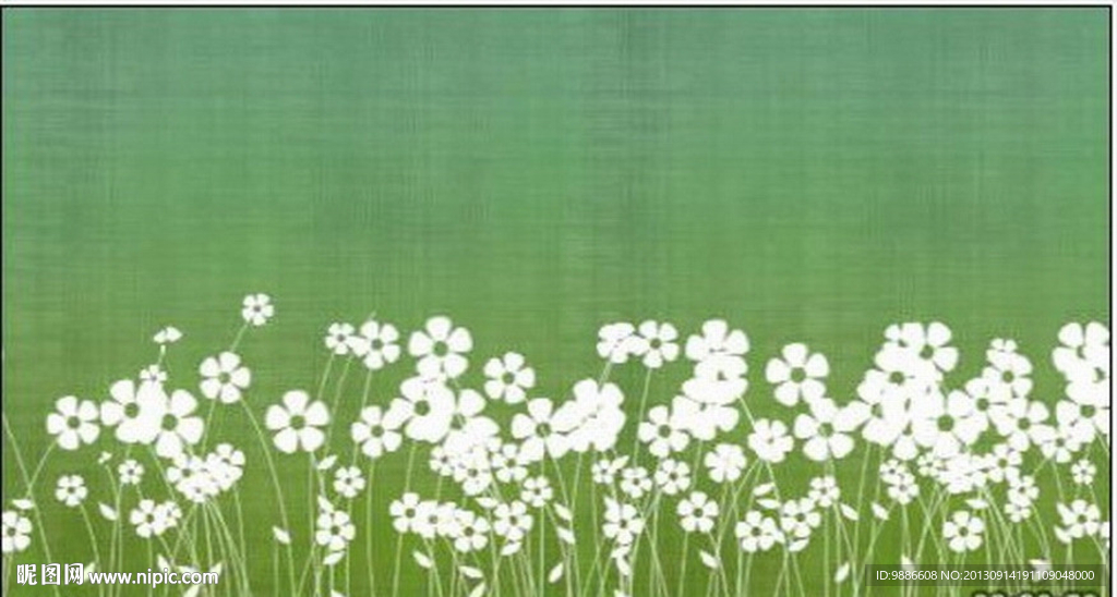 白色鲜花高清视频背景