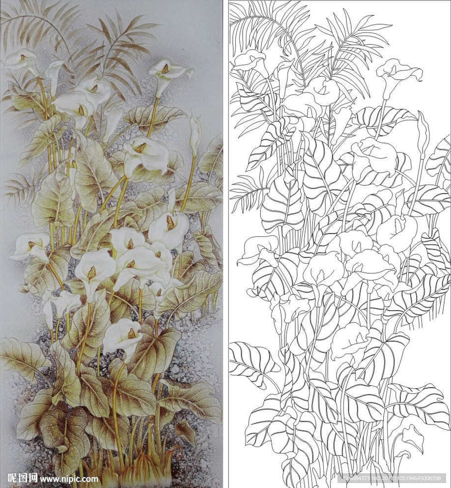 马蹄莲 百合花 百合