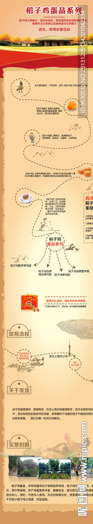 淘宝详情页草鸡鸡蛋