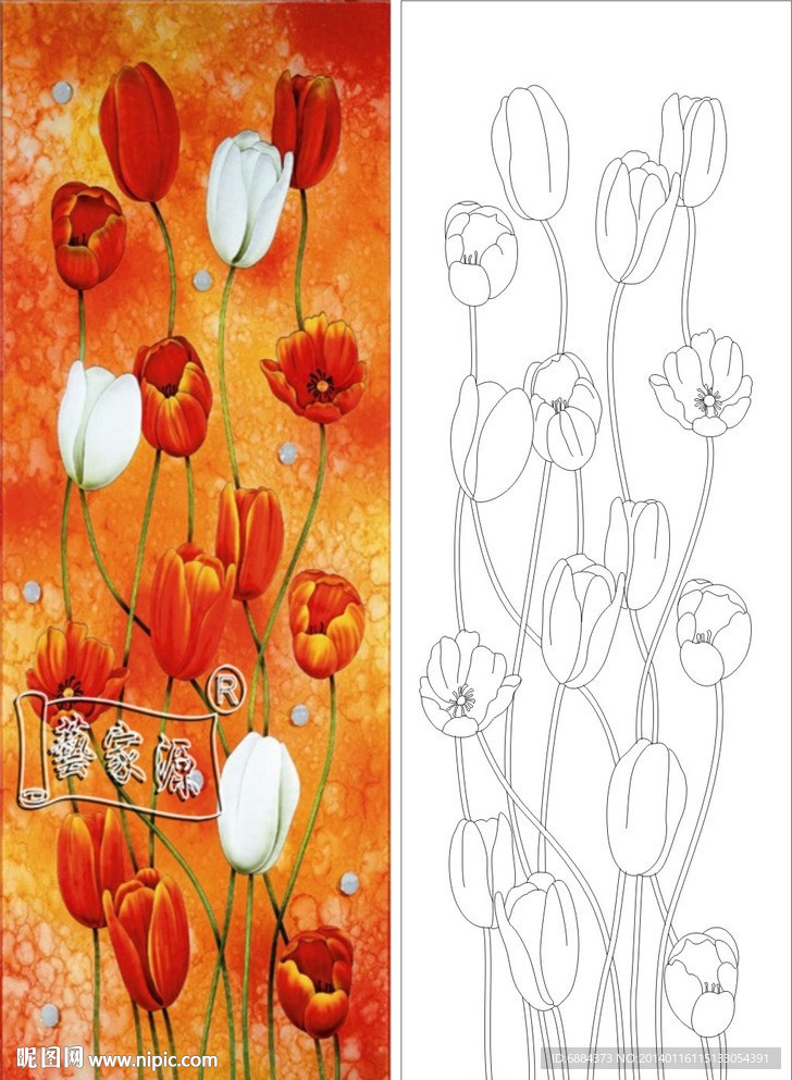 郁金香 红色花 紫荆