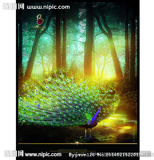 森林里的孔雀
