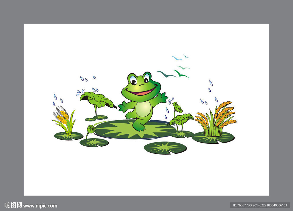 青蛙 水稻 鄱阳湖