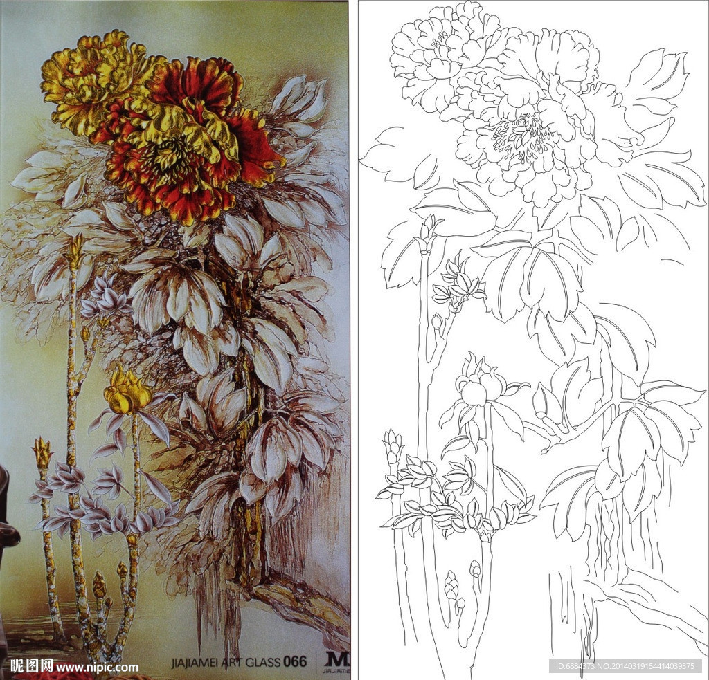 牡丹花 金牡丹 树