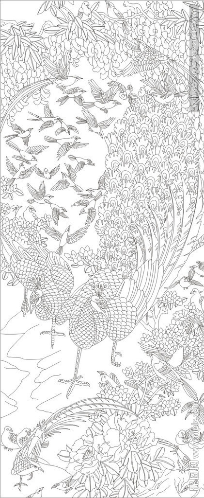 百鸟朝凤 孔雀 （注路径未闭合）