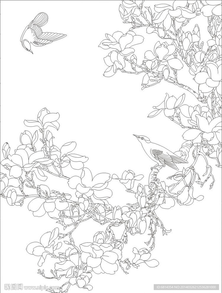 玉兰花鸟(未闭合路径)