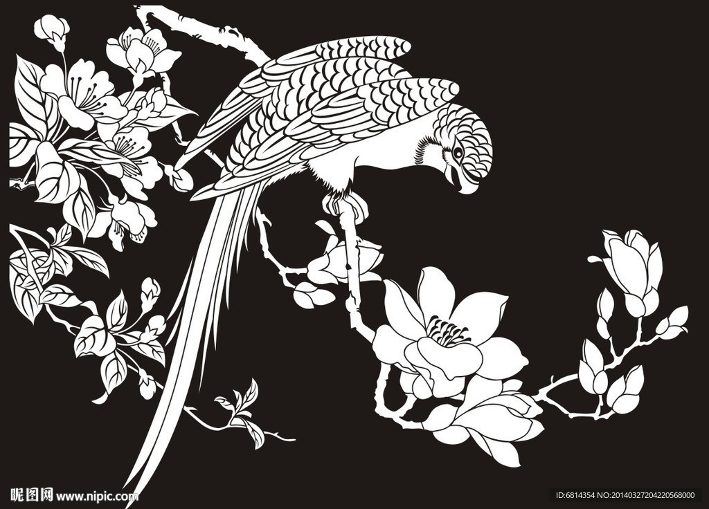 鹦鹉 玉兰花 花鸟