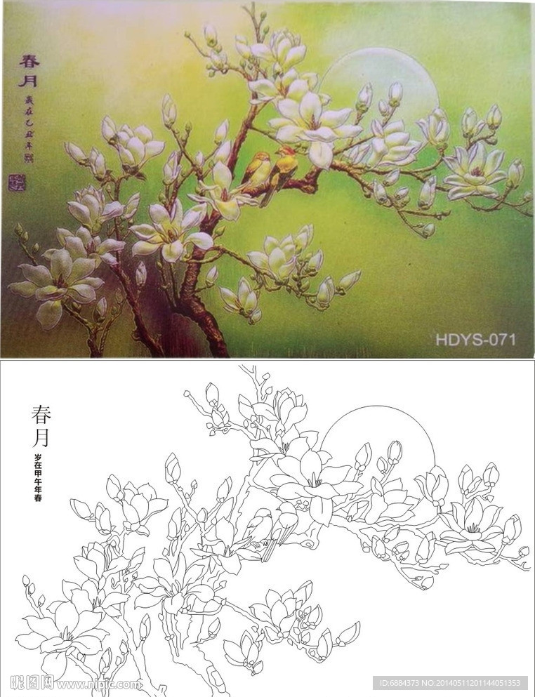 玉兰花 月亮 春月