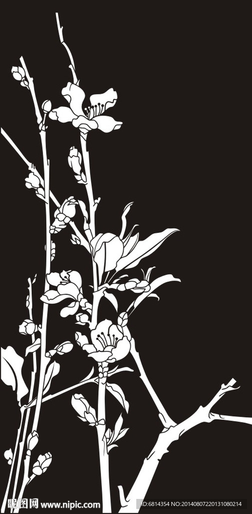 花草 玉兰花 富贵