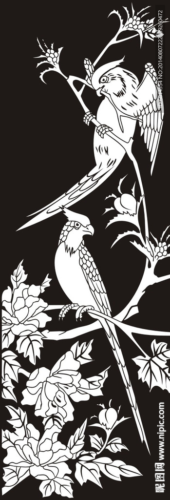 花鸟 鹦鹉 玉兰花