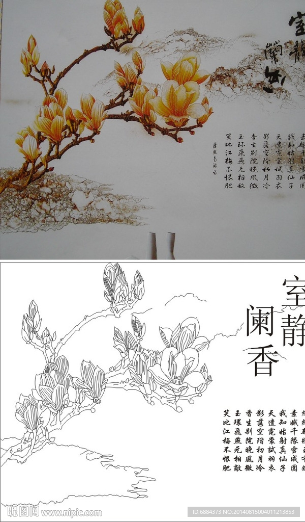 富贵兰香 玉兰花