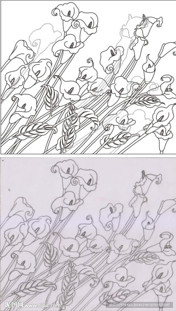 百年好合 马蹄莲