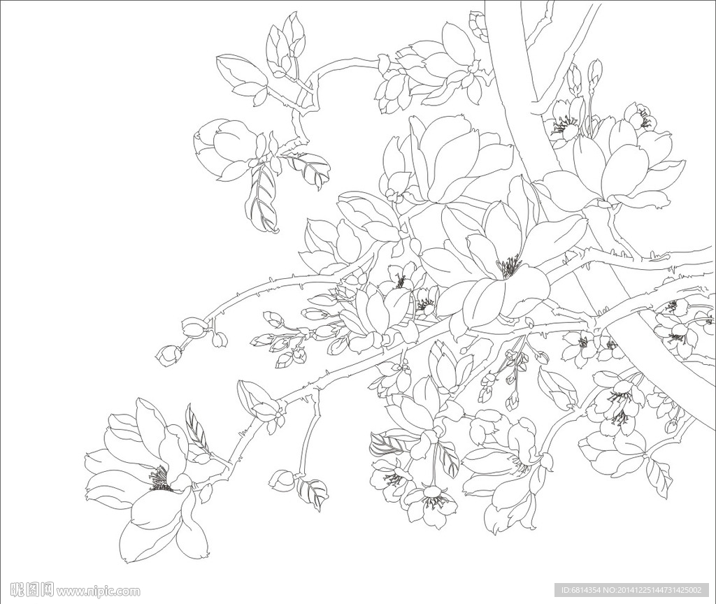 玉兰花 玉兰树 艺术玻璃