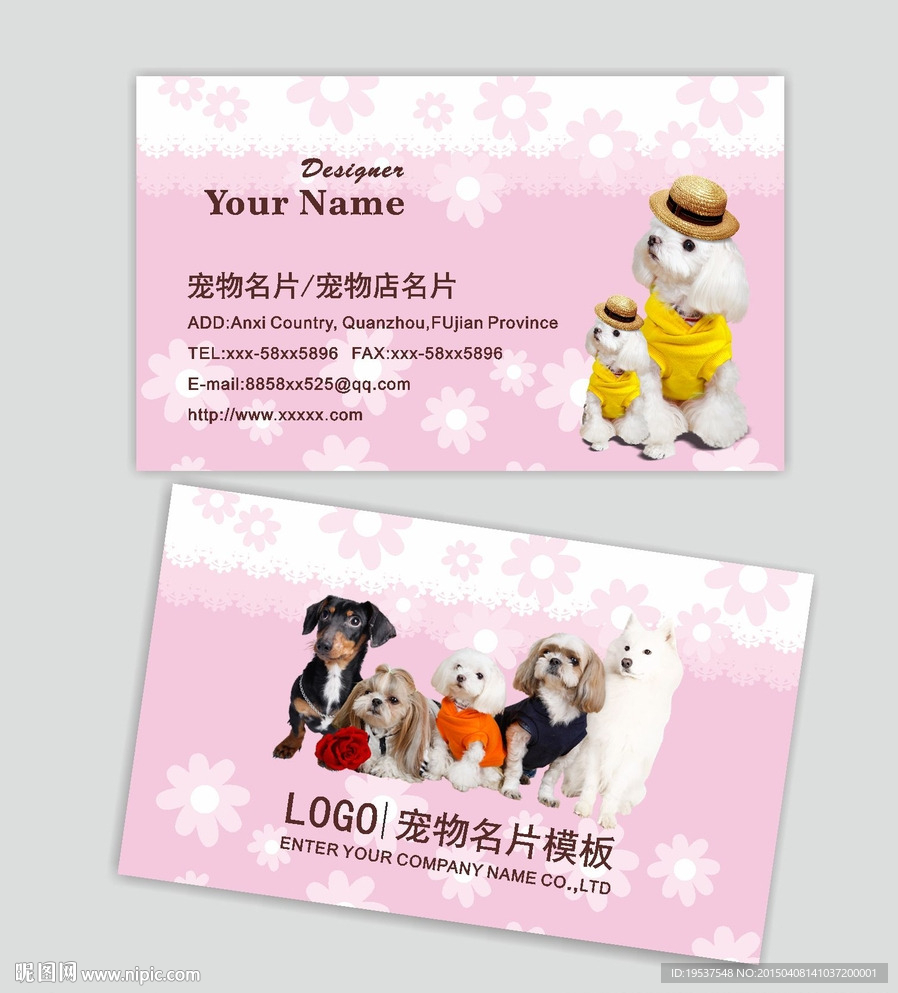 宠物名片 宠物店名片