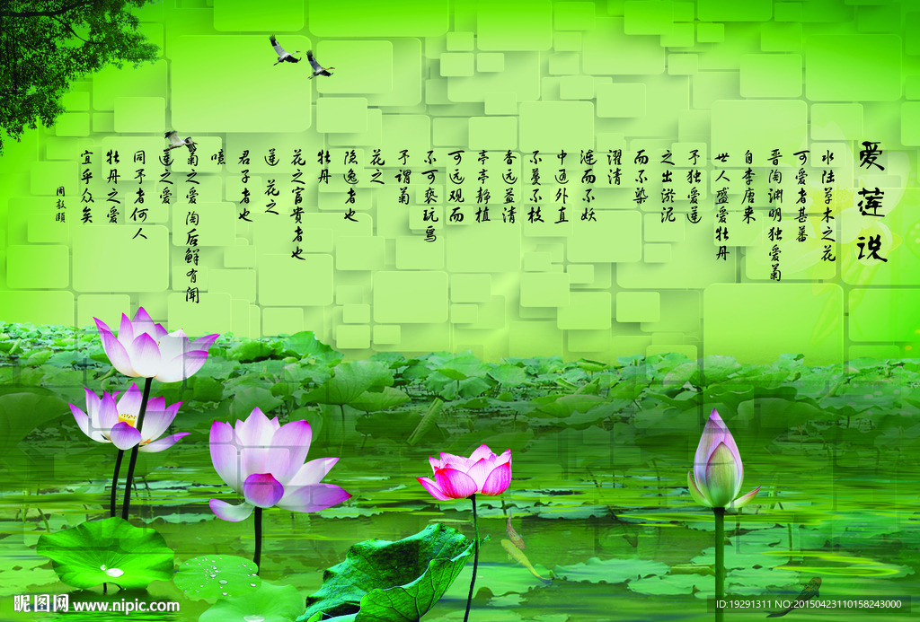 荷花荷塘3D风景图