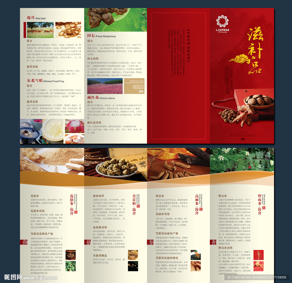 中药  滋补品四折页