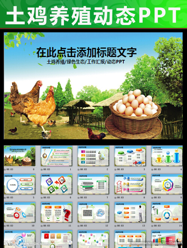 绿色生态鸡养殖ppt动态模板