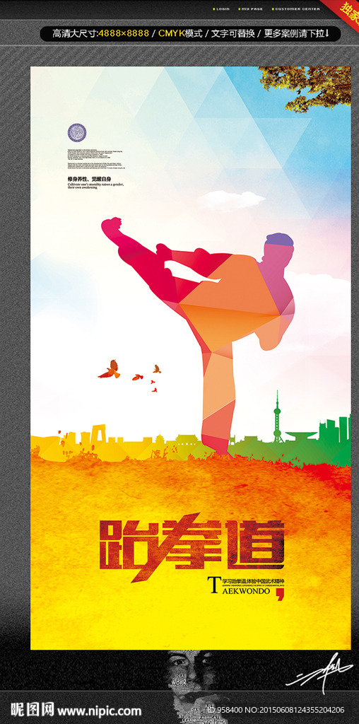 跆拳道海报 唯美