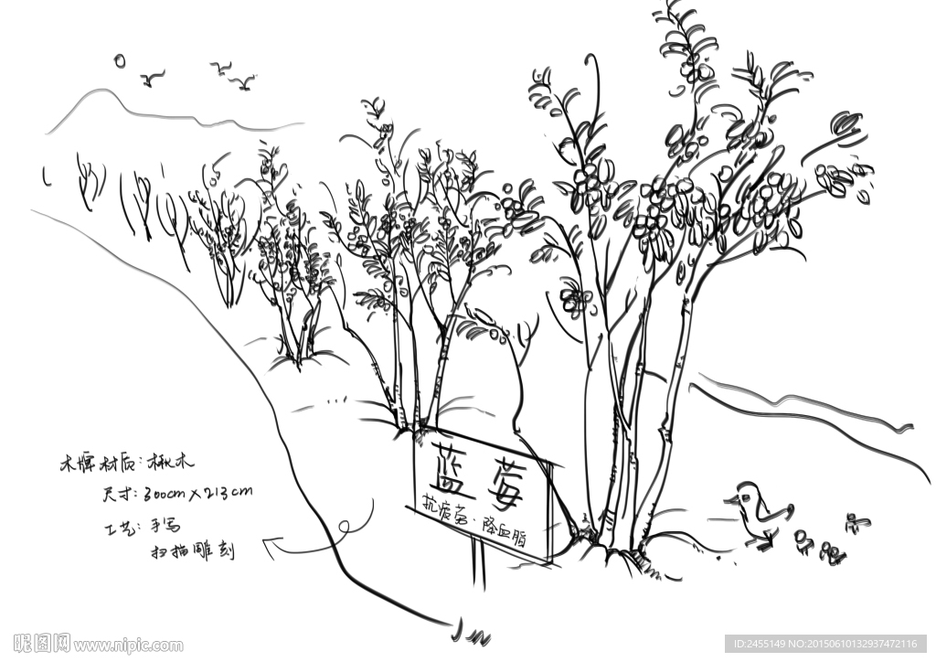 手绘绿色植物 蓝莓树