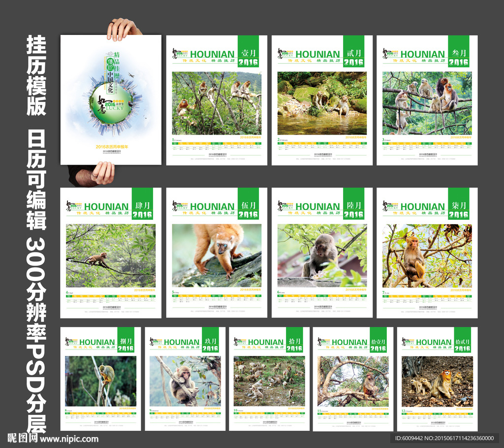 挂历 2016
