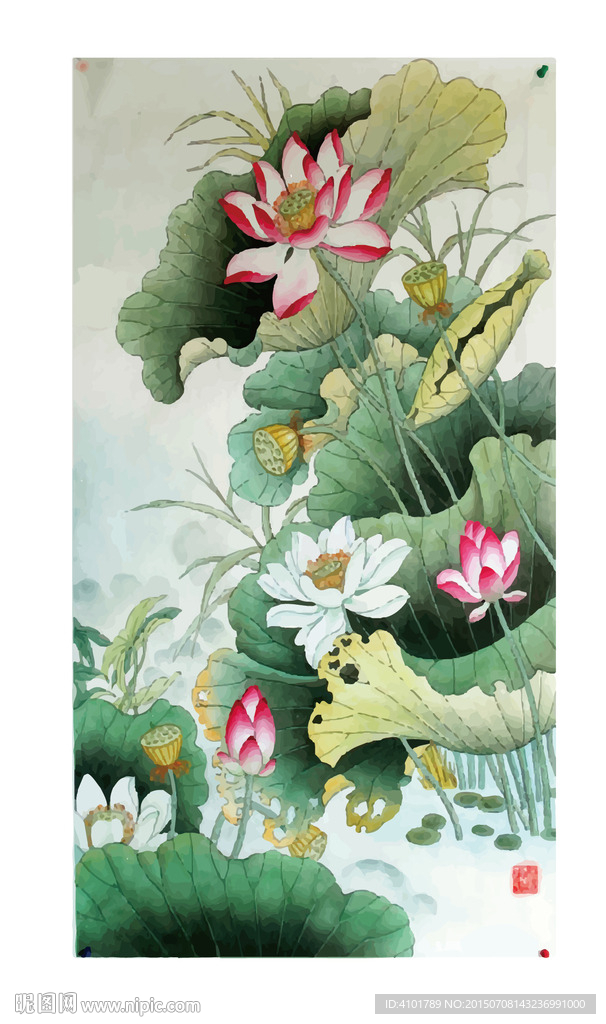 国画工笔荷花 矢量