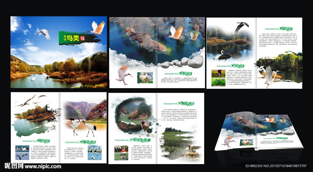 鸟类画册 水墨画册  动物保护