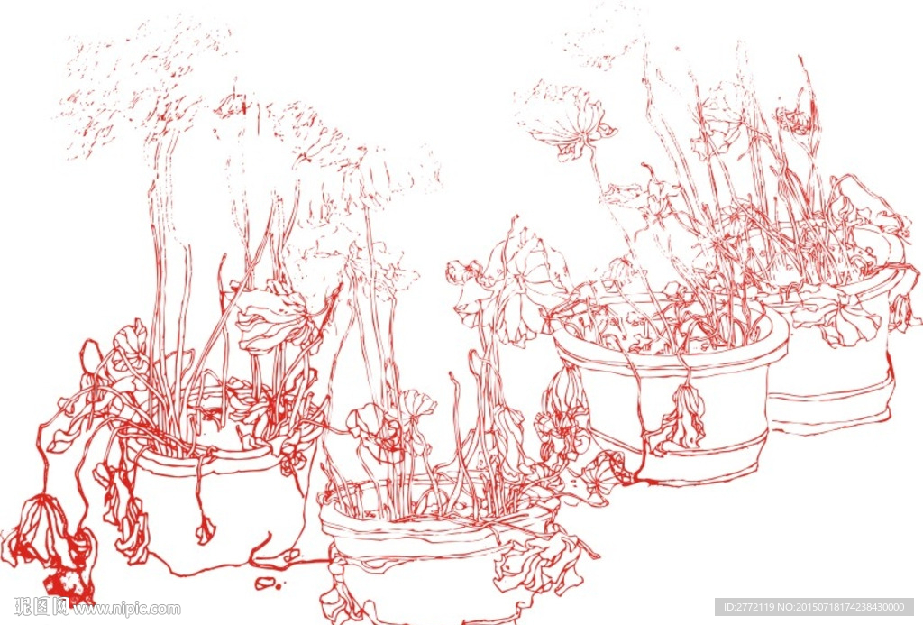 鲜花盆景盆栽 手描画