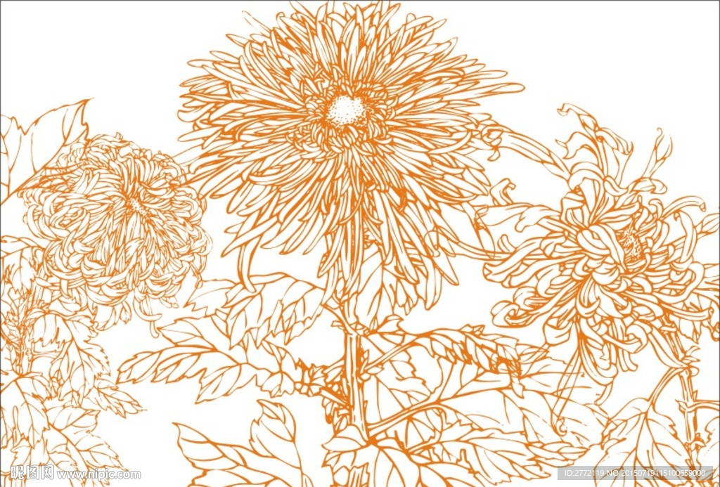 菊花三剑客 手绘画