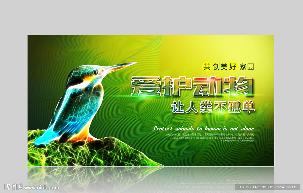 爱护动物