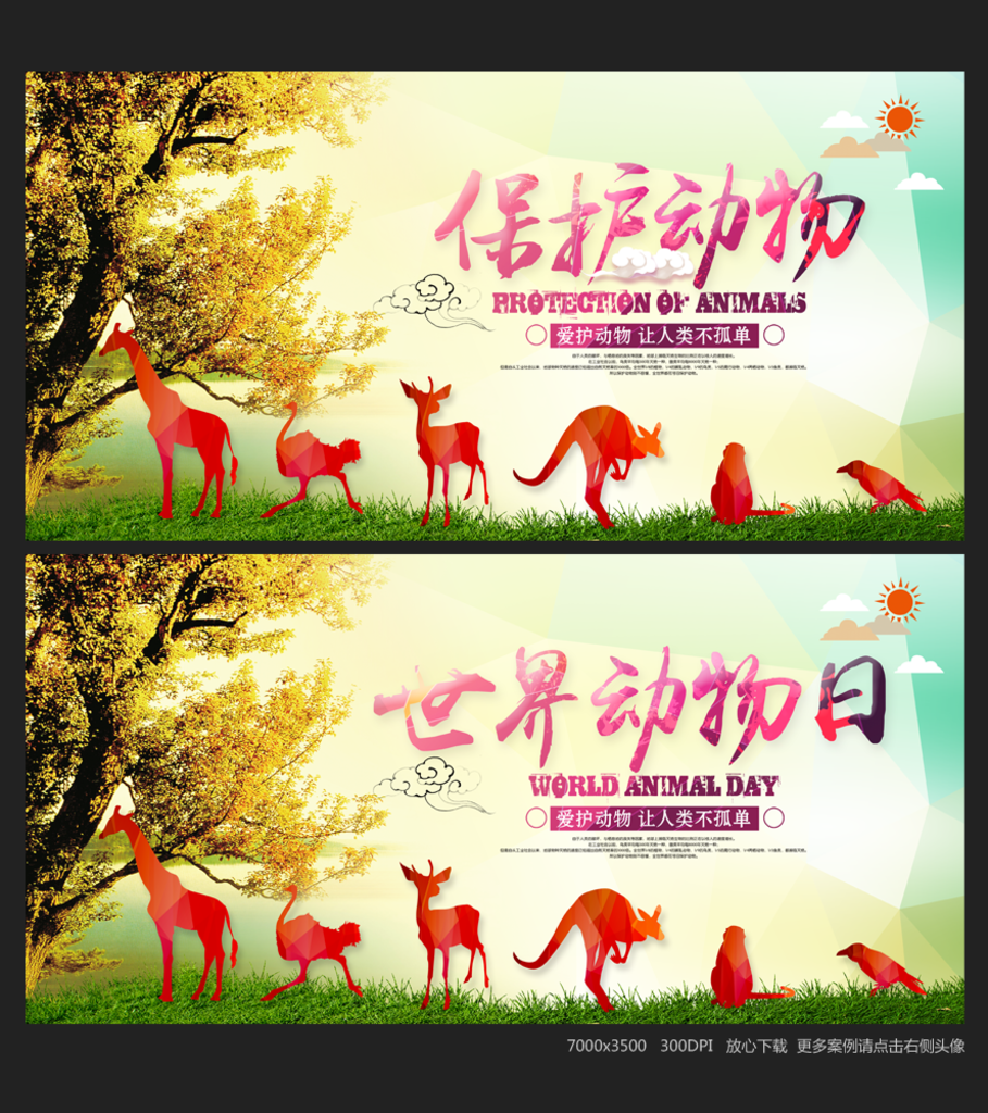 保护动物 世界动物日