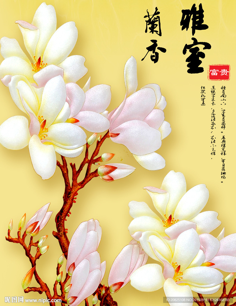 雅室兰香 玉兰花