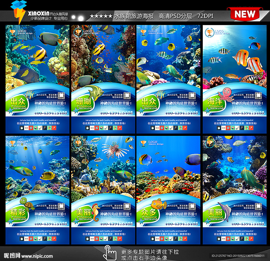 海洋世界 热带鱼海报图片