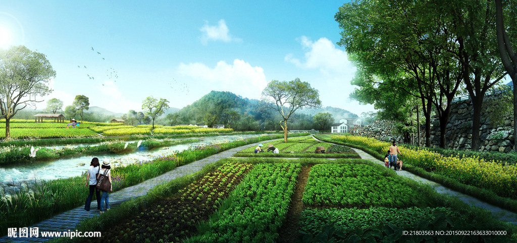 度假村田园风光