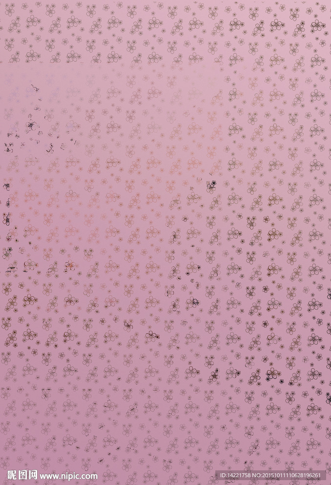 落花有情   粉色镜子