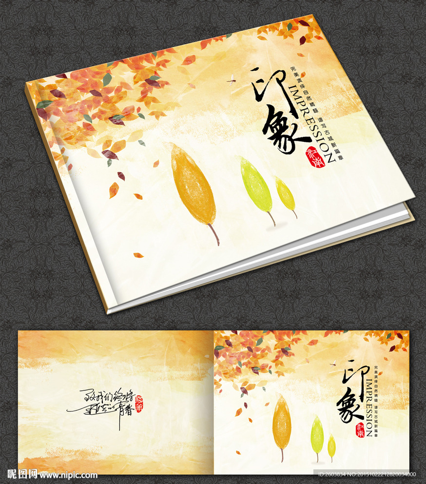 怀旧印象画册封面设计