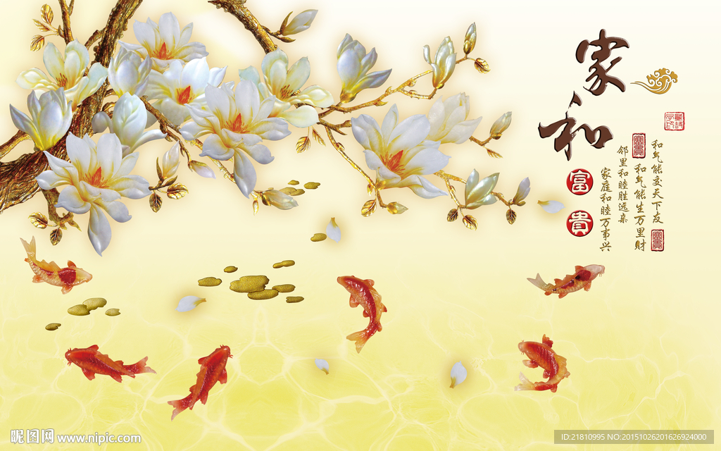 家和富贵玉兰花分层图片