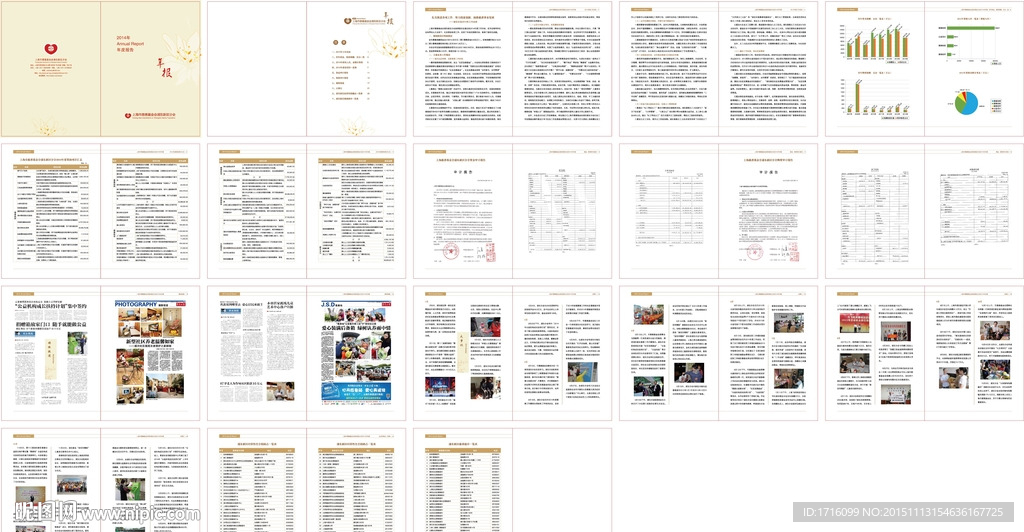 慈善年报 企业总结公司报告