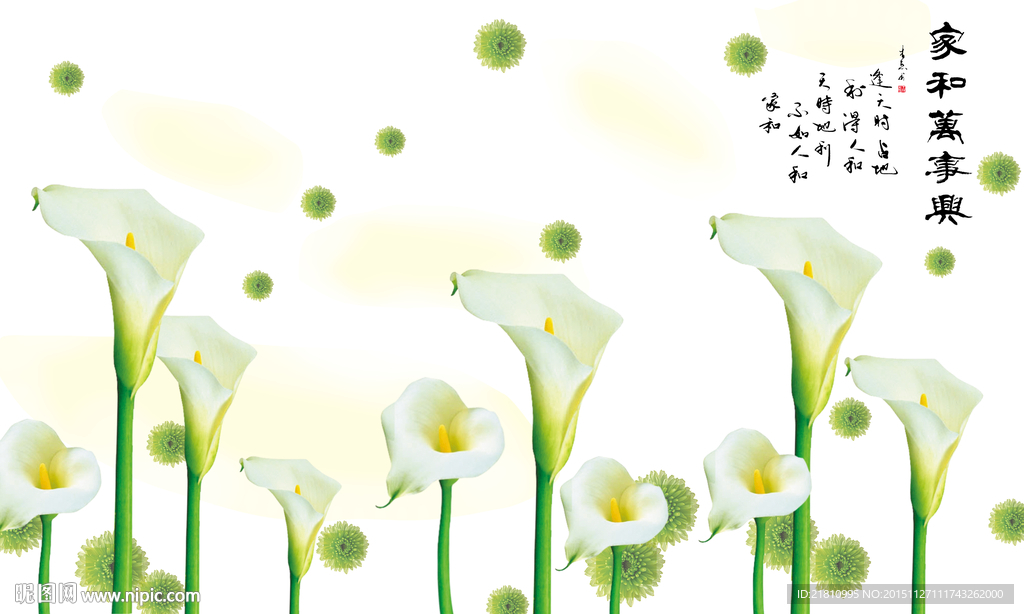 家和万事兴马蹄莲分层图片